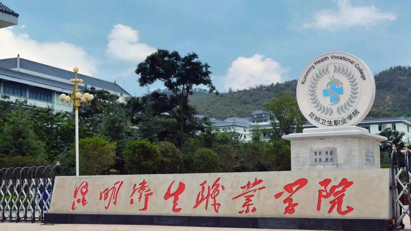 云南分数最低的专科大学：2025多少分可以上？(图1)