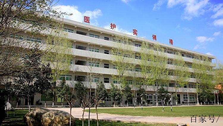 陕西分数最低的专科大学：2025多少分可以上？(图2)