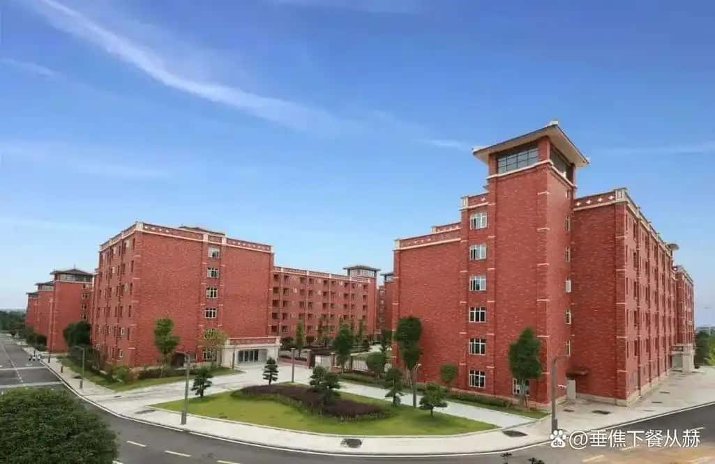 2026 参考 湖南物理类低分专科大学名单 2025 分数线及位次(图2)