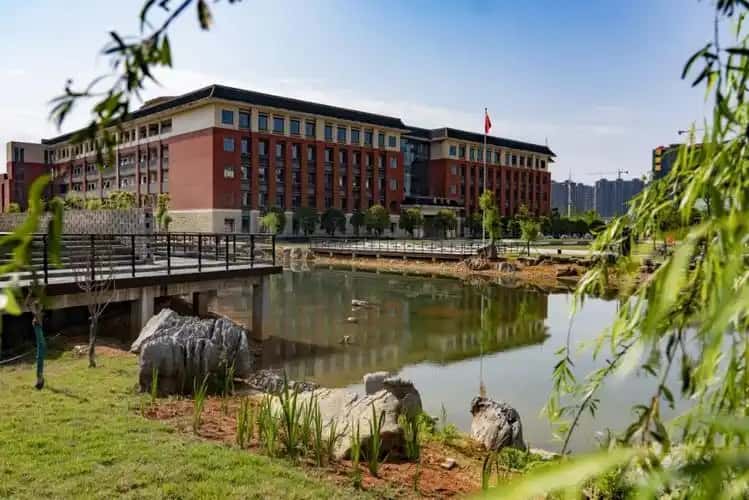 2026 参考 湖南物理类低分专科大学名单 2025 分数线及位次(图3)