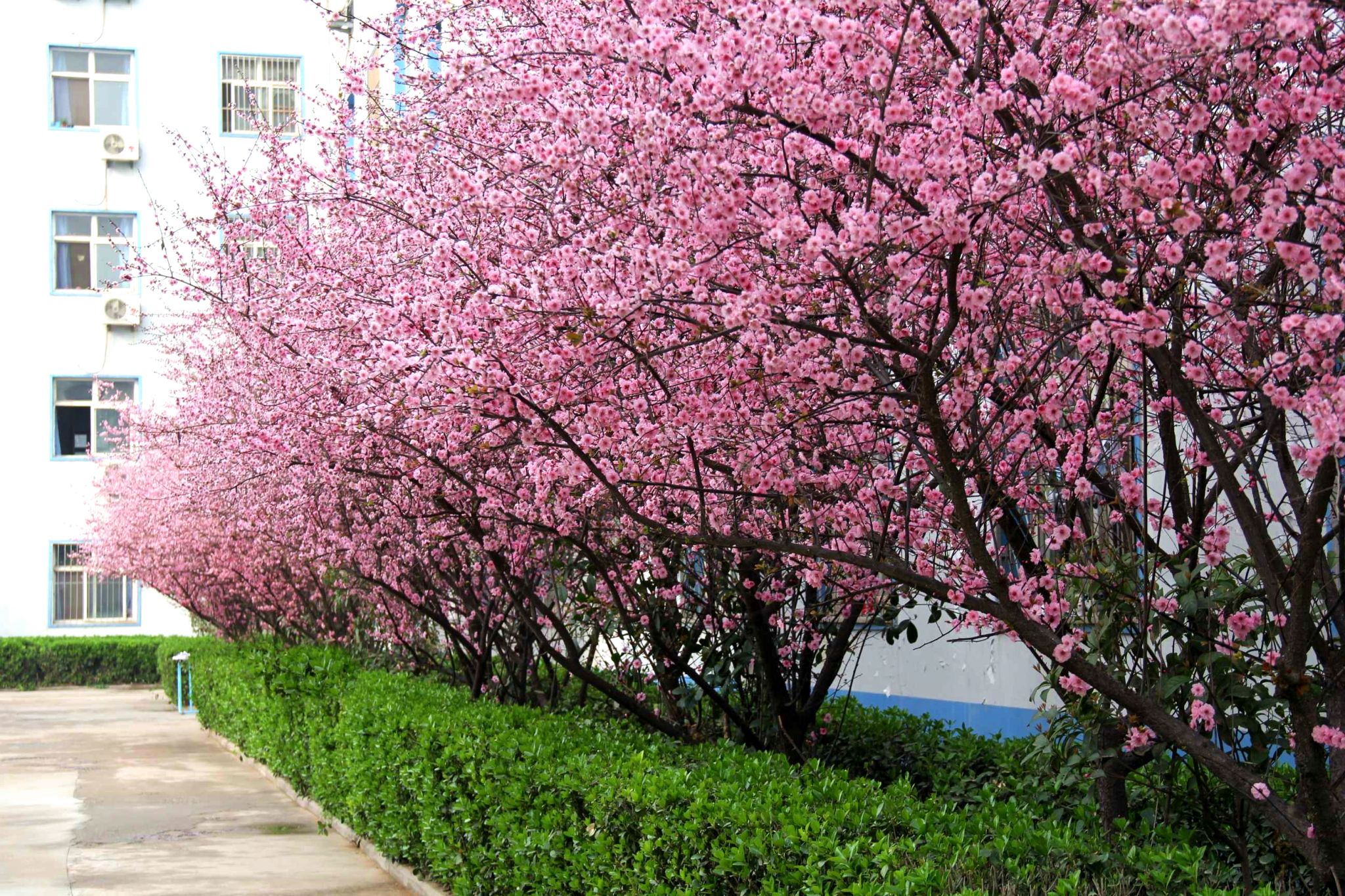 2024年中国矿业大学在广西录取分数线（附近几年最低位次排名）