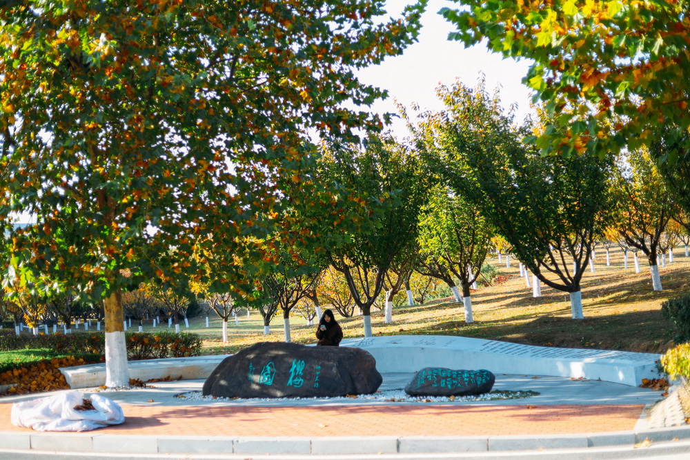 2024年辽宁师范大学海华学院在山东录取