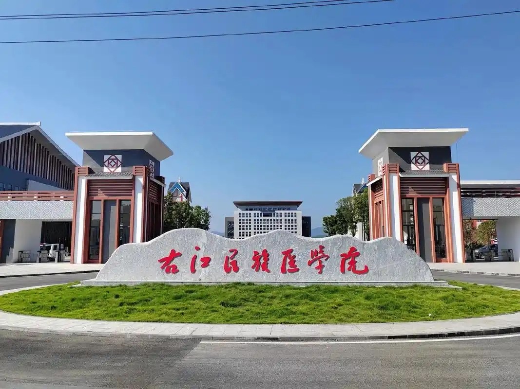 2026 广西高考 450 分左右本科大 2026 广西高考 450 分左右本科大