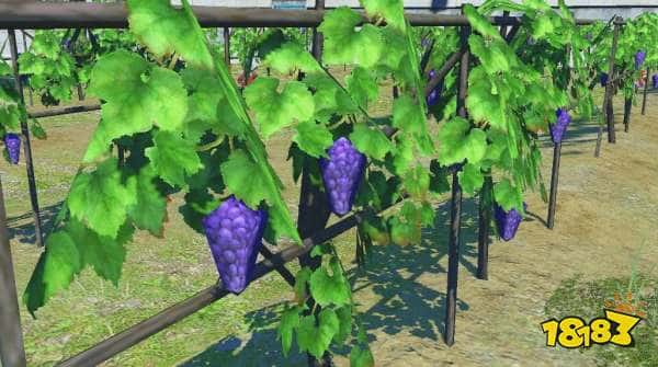 好消息：《FF14》新资料片上线了，坏消息：低质量建模葡萄还在