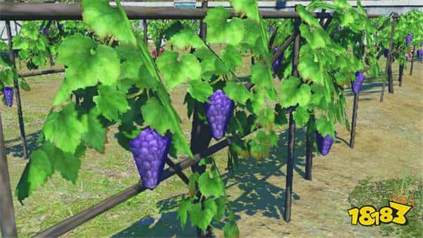 《FF14》新资料片上线后 低质建模葡萄依然屹立农田