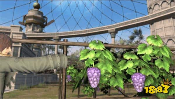 《FF14》新资料片上线后 低质建模葡萄依然屹立农田