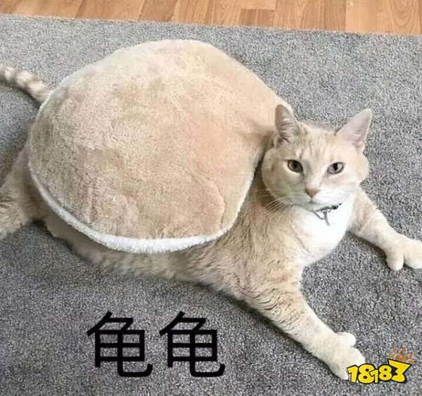 DNF手游连续霸榜一个月 首月营收高达50亿