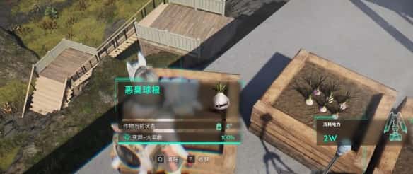 七日世界恶臭球根怎么收容