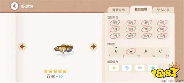 心动小镇虾虎鱼怎么钓 虾虎鱼出没时间及方法介绍