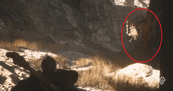 黑神话悟空落伽香藤在哪