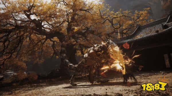 英伟达大动作！《黑神话》专属驱动下周发布：国产游戏首享VIP待遇！