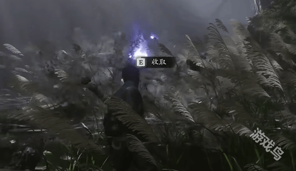 黑神话悟空没有点化怎么办