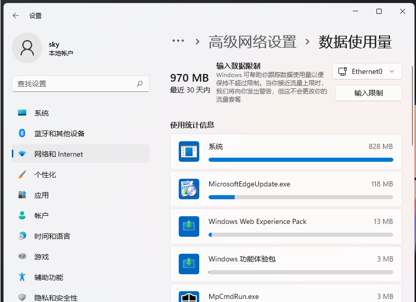 电脑流量使用情况怎么看 win11系统查看电脑流量使用情况的方法教程(图4) 电脑流量使用情况怎么看 win11系统查看电脑流量使用情况的方法教程