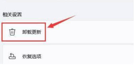笔记本升级Win11黑屏死机如何解决?(图7) 笔记本升级Win11黑屏死机如何解决?