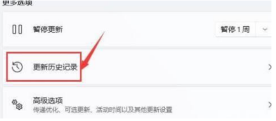 笔记本升级Win11黑屏死机如何解决?(图6) 笔记本升级Win11黑屏死机如何解决?
