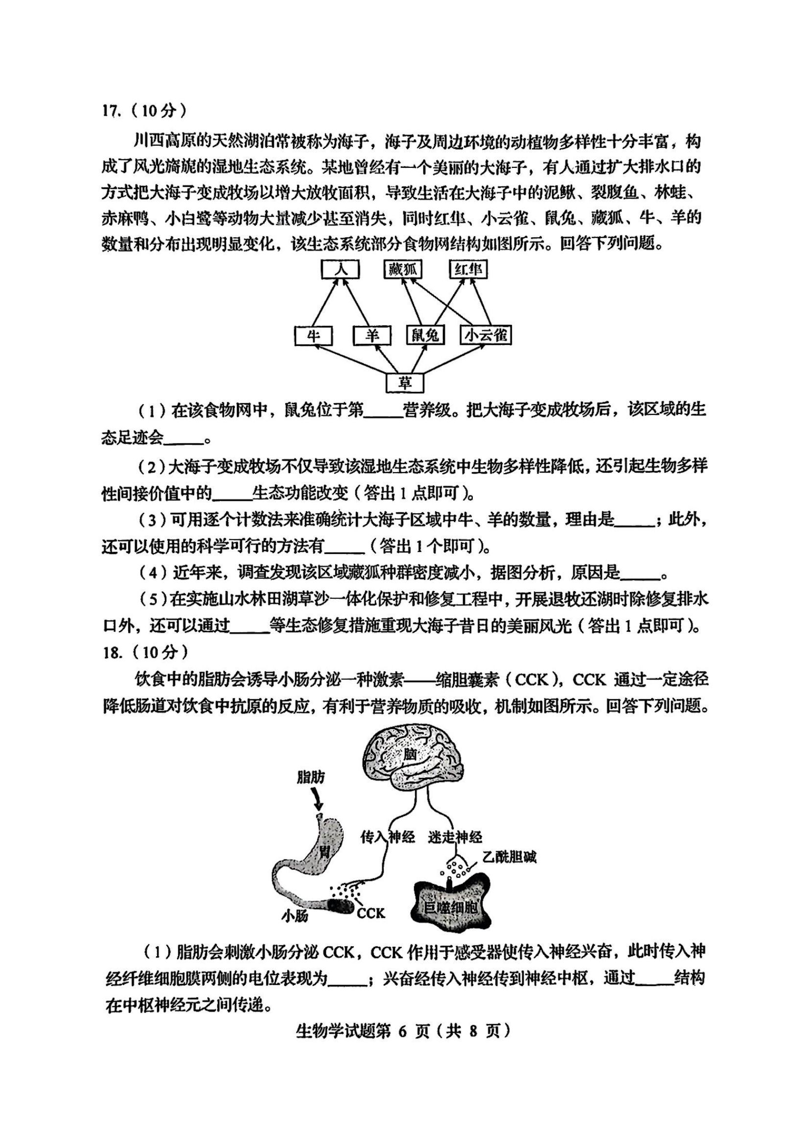 2025四川八省联考全科答案汇总(四川新高考适应性考试)(图65) 2025四川八省联考全科答案汇总(四川新高考适应性考试)(图65)