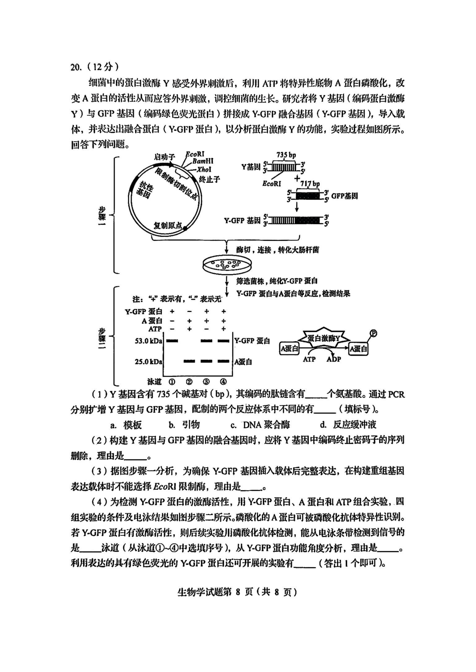 2025四川八省联考全科答案汇总(四川新高考适应性考试)(图67) 2025四川八省联考全科答案汇总(四川新高考适应性考试)(图67)