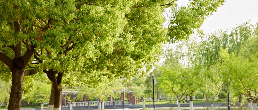 旅游本科大学有哪些？附2024旅游管理专业全国大学最新排名(图2)