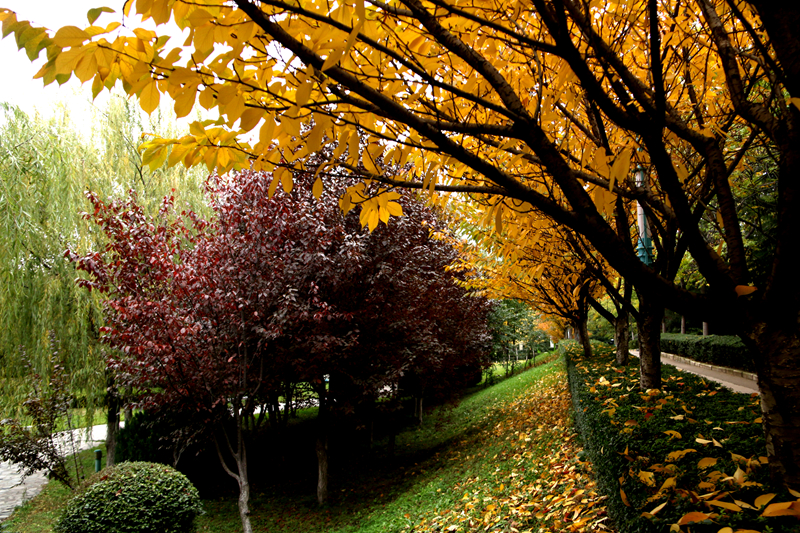 辽宁科技大学2024年在广东录取分数线、对应位次(附近几年最低录取分数线及位次排名)(图1) 辽宁科技大学2024年在广东录取分数线、对应位次(附近几年最低录取分数线及位次排名)(图1)