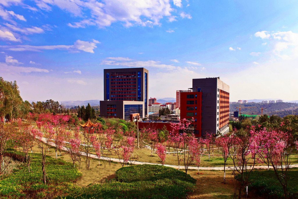 山西大学2024年在广东录取分数线、对应位次（附近几年最低录取分数线及位次排名）(图1)