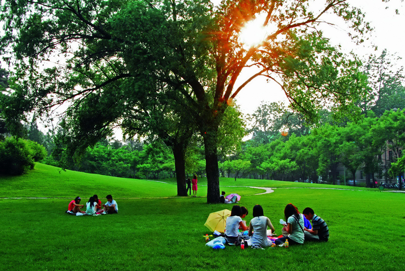 西华大学2024年在河北各专业录取分数线（附院校录取分数线录取位次）(图1)