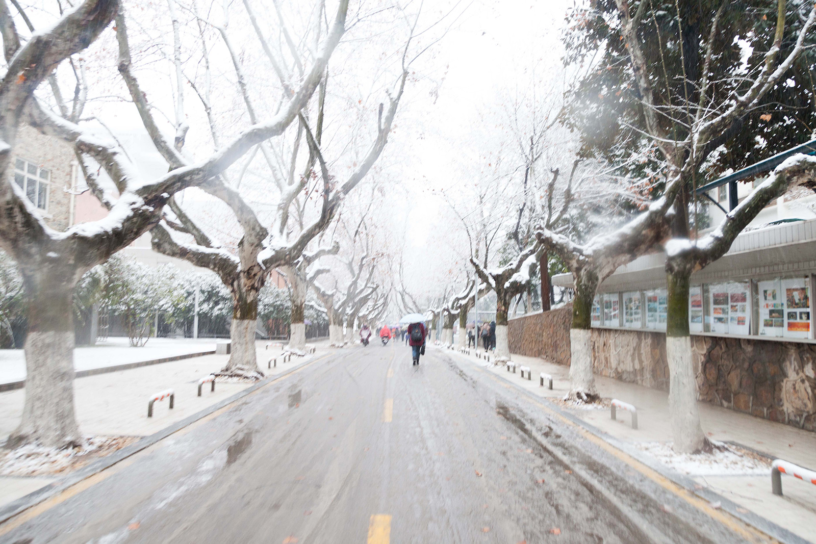 西南医科大学2024年在浙江各专业录取分数线(附院校录取分数线录取位次)(图1) 西南医科大学2024年在浙江各专业录取分数线(附院校录取分数线录取位次)(图1)