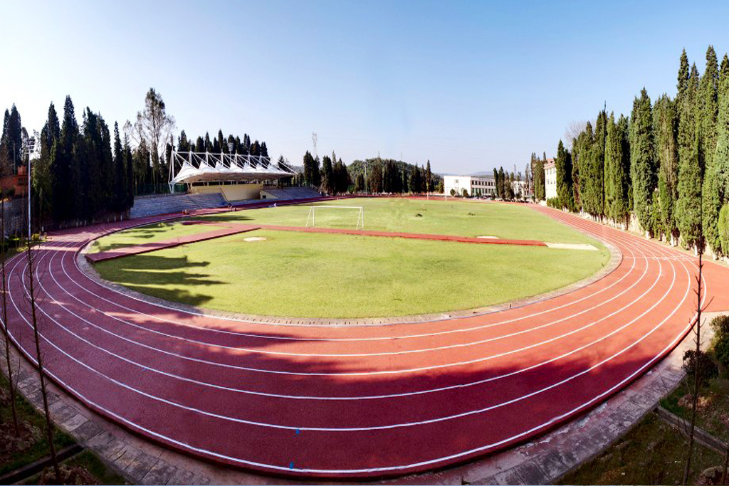 深圳大学2024年在浙江各专业录取分数线（附院校录取分数线录取位次）(图1)