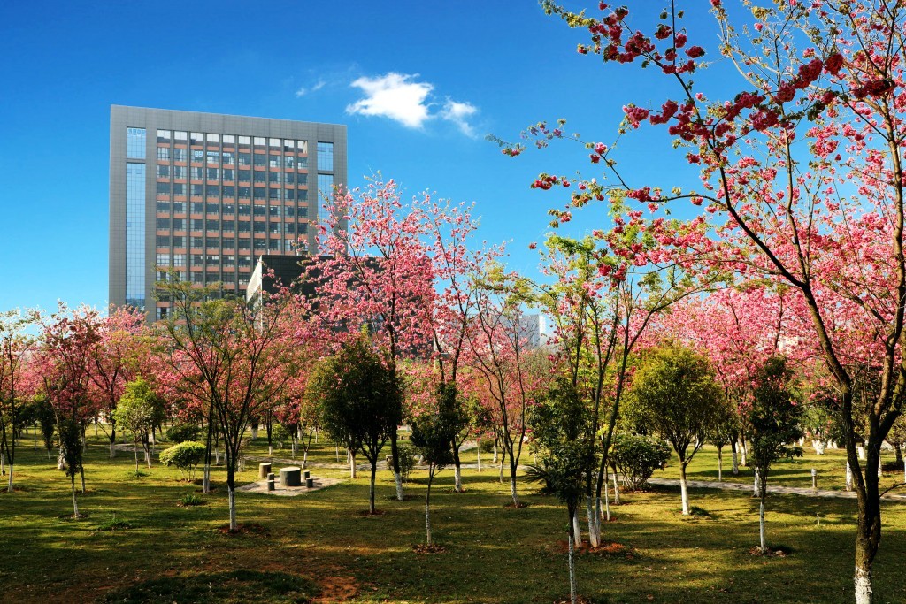 珠海科技学院2024年在山西录取分数线、对应位次（附近几年最低录取分数线及位次排名）(图1)