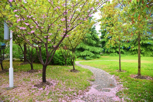 淮阴工学院2024年在贵州各专业录取分数线（附院校录取分数线录取位次）(图1)