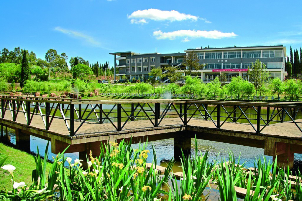 电子科技大学成都学院2024年在广东录取分数线、对应位次（附近几年最低录取分数线及位次排名）(图1)