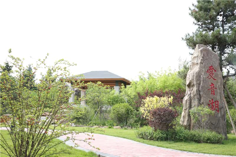 2024年复旦大学上海医学院在广东录取分数线（附近几年最低位次排名）(图1)