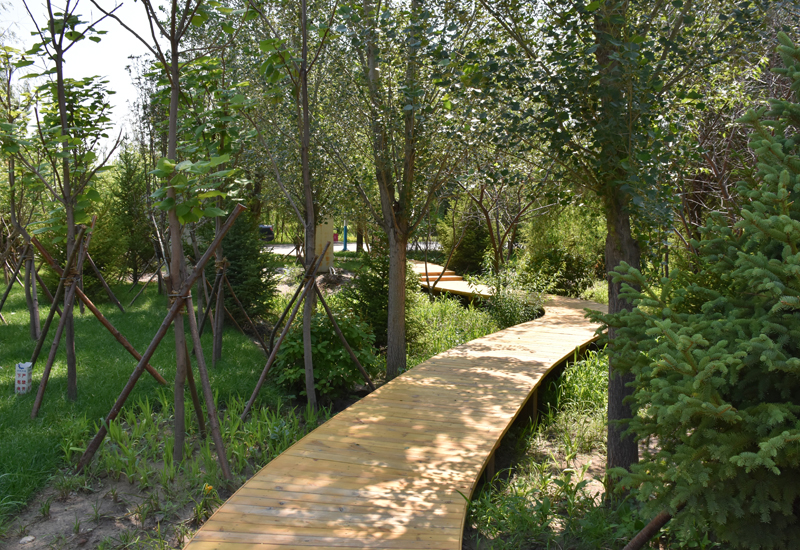 浙江高考成绩多少分能报考焦作师范高等专科学校？附2022-2024年各专业录取位次排名(图1)