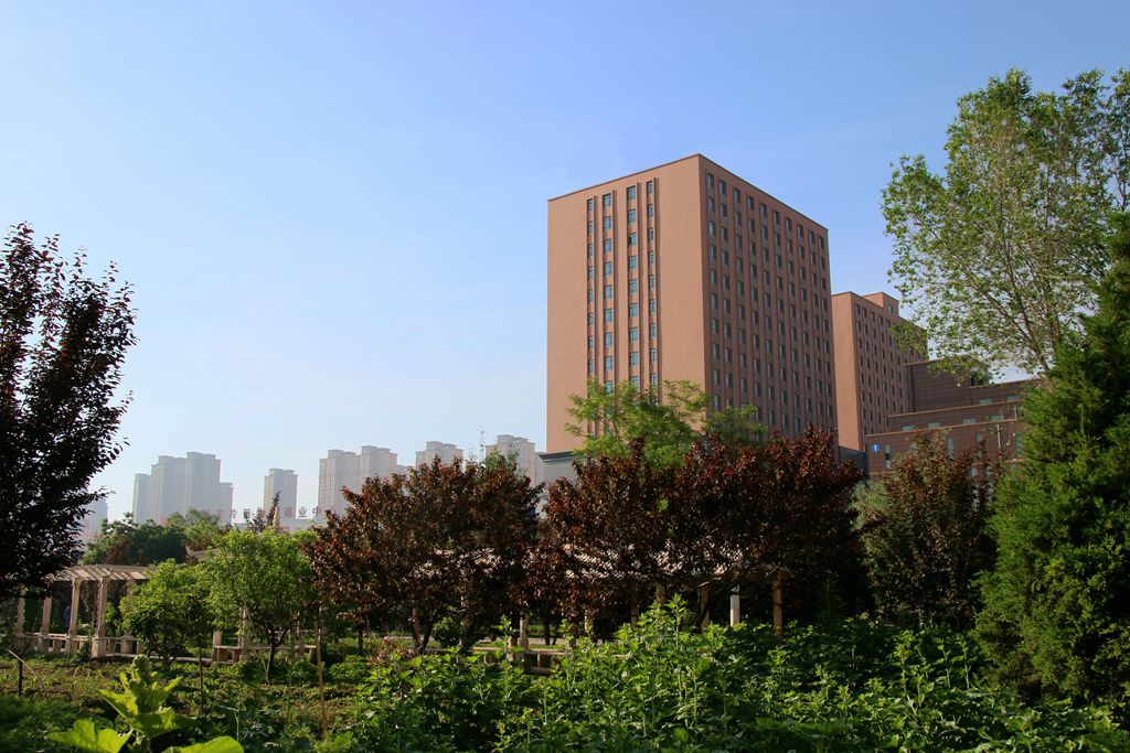 河南高考成绩多少分能报考重庆科技大学？附2022-2024年各专业录取位次排名(图1)