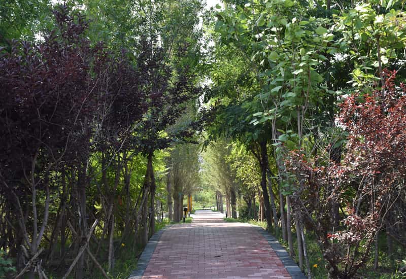 河北位次排名多少能上北京城市学院？附2022-2024年专业录取最低分及位次(图1)