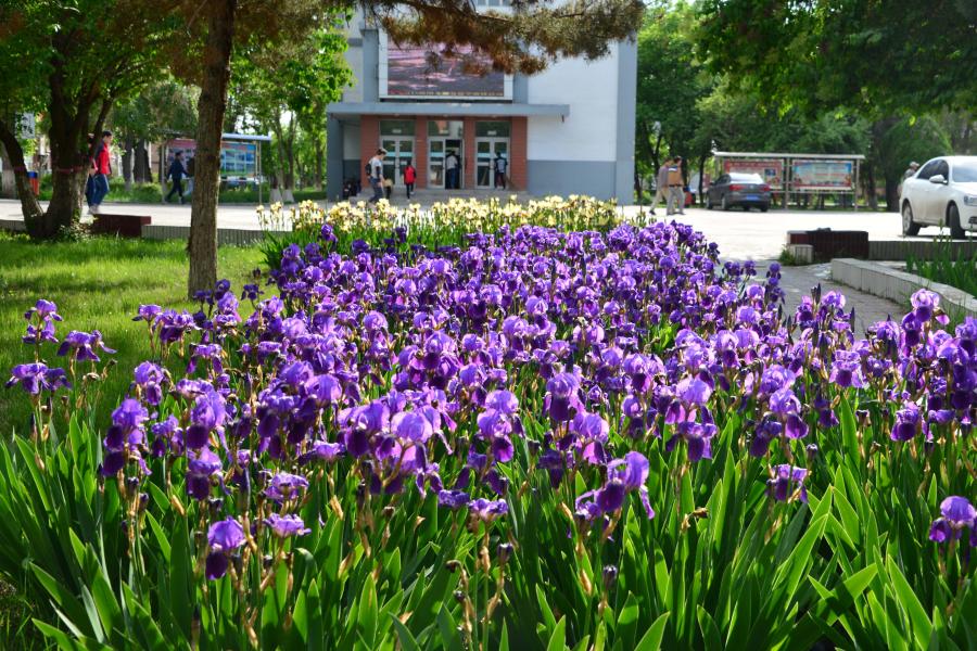 河南位次排名多少能上嵩山少林武术职业学院?附2021-2023年专业录取最低分及位次(图1) 河南位次排名多少能上嵩山少林武术职业学院?附2021-2023年专业录取最低分及位次(图1)