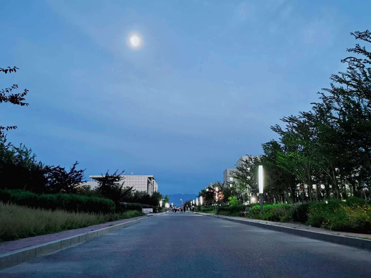 广东工业大学2024年在河北各专业录取分数线(附院校录取分数线录取位次)(图1) 广东工业大学2024年在河北各专业录取分数线(附院校录取分数线录取位次)(图1)