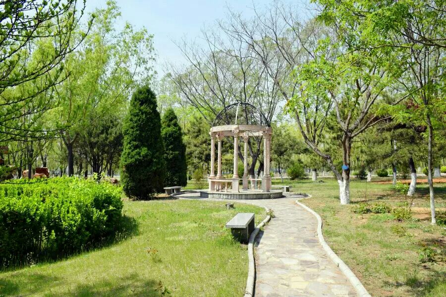 山东高考成绩多少分能报考济南护理职业学院？附2022-2024年各专业录取位次排名(图1)