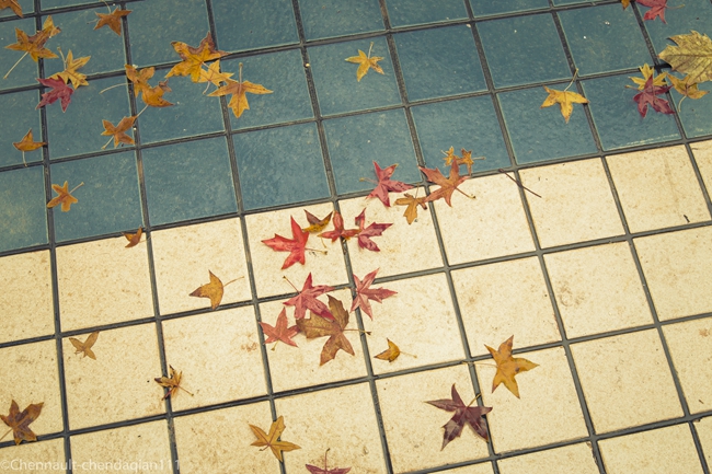 四川师范大学2024年在浙江各专业录取分数线(附院校录取分数线录取位次)(图1) 四川师范大学2024年在浙江各专业录取分数线(附院校录取分数线录取位次)(图1)