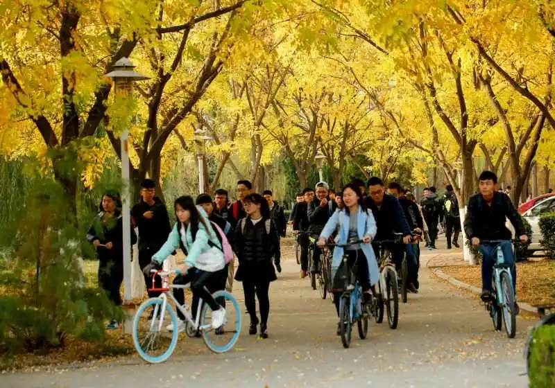 南昌大学2024年在山东录取分数线、对应位次(附近几年最低录取分数线及位次排名)(图1) 南昌大学2024年在山东录取分数线、对应位次(附近几年最低录取分数线及位次排名)(图1)