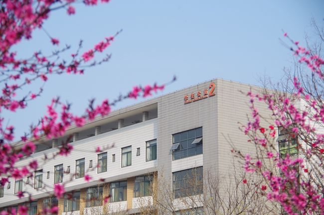 东北师范大学2024年在安徽录取分数线、对应位次（附近几年最低录取分数线及位次排名）(图1)