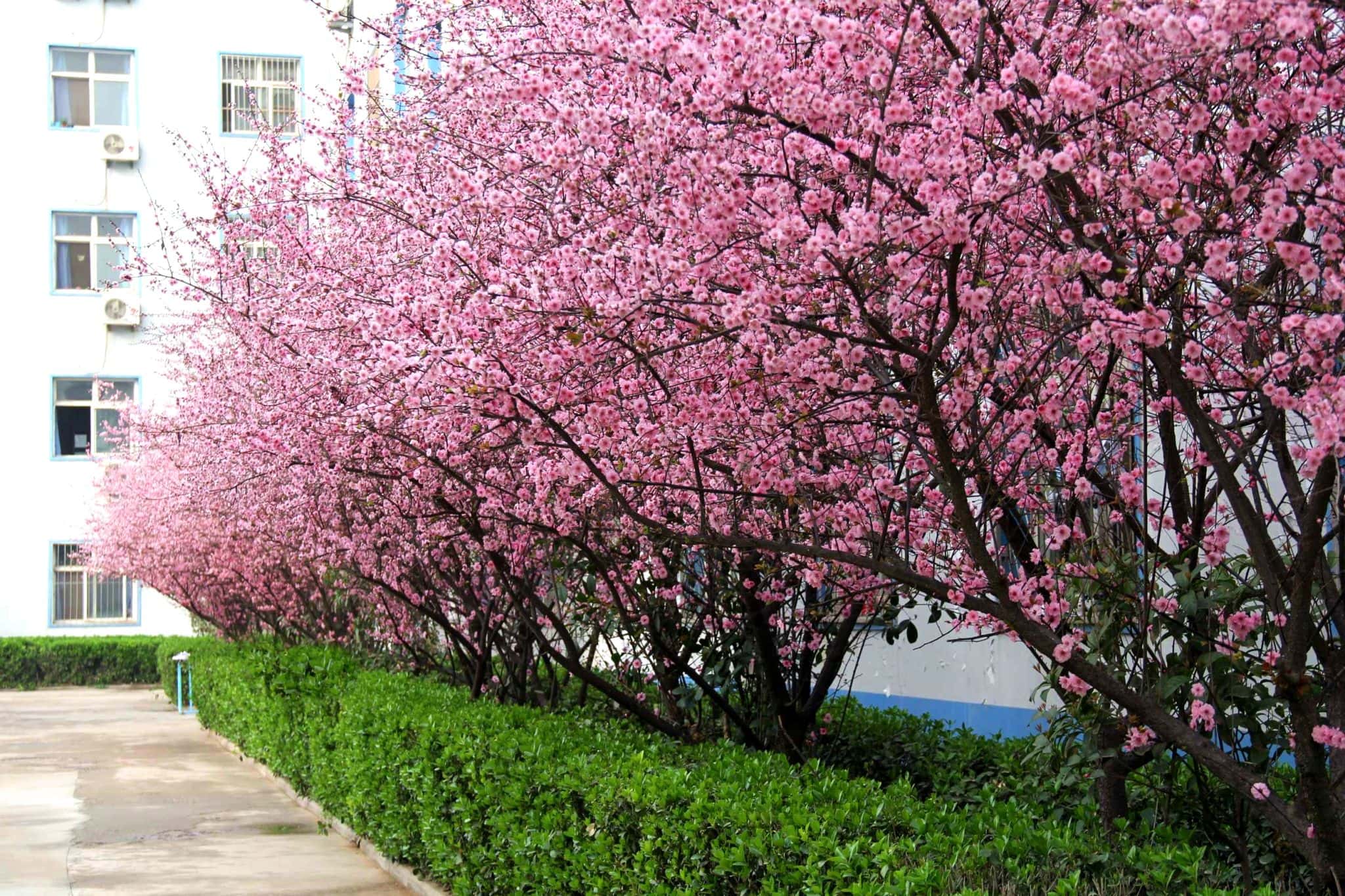 2024年中国矿业大学在广西录取分数线（附近几年最低位次排名）(图1)