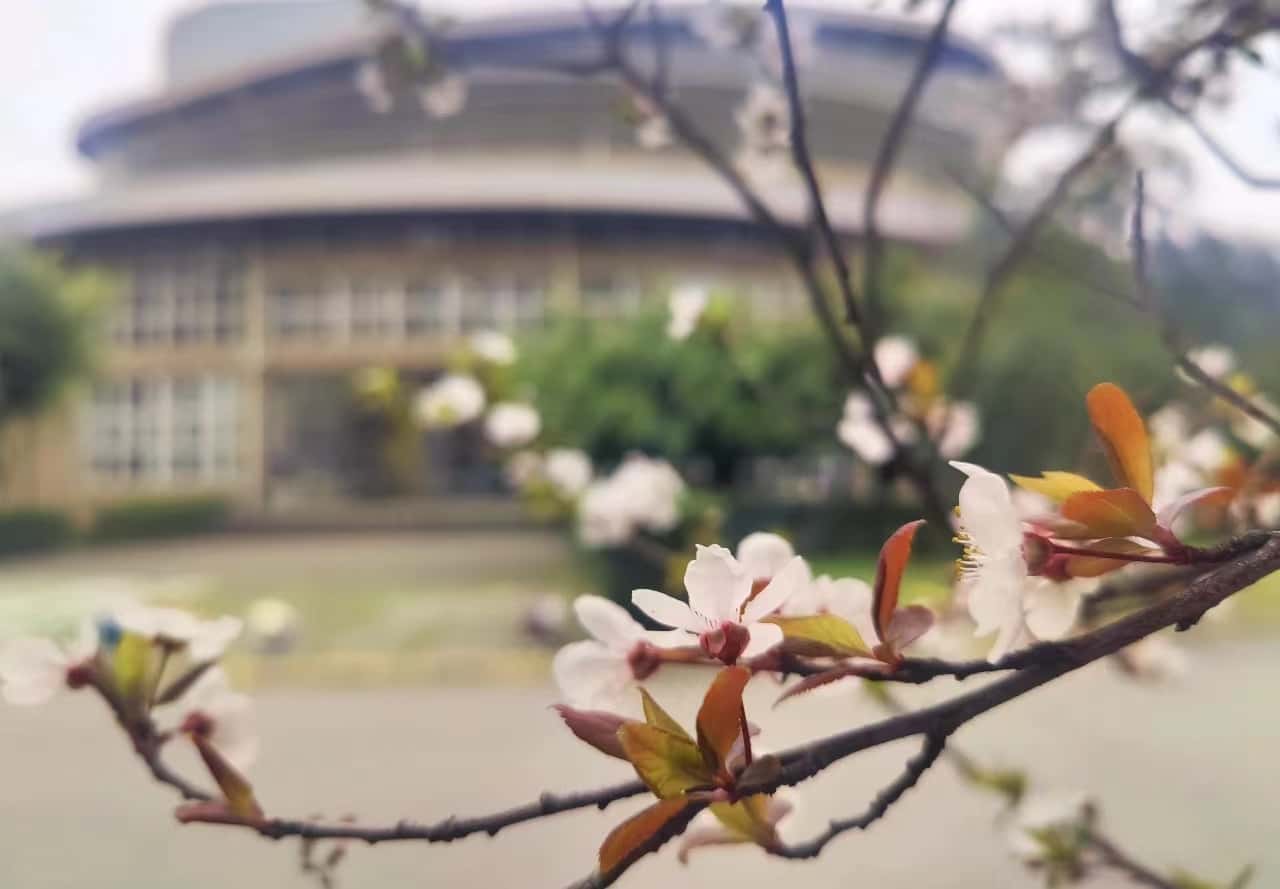 2024年天津大学在安徽录取分数线（附近几年最低位次排名）(图1)