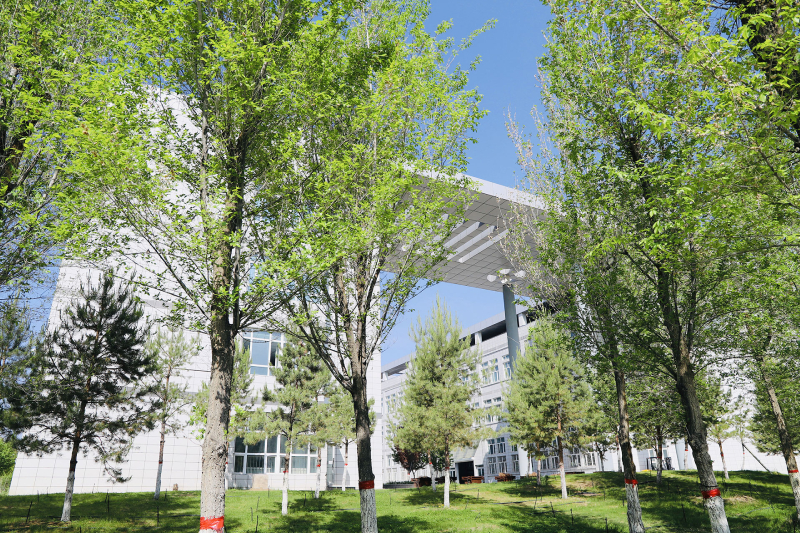 2024年重庆师范大学在四川录取分数线(附近几年最低位次排名)(图1) 2024年重庆师范大学在四川录取分数线(附近几年最低位次排名)(图1)