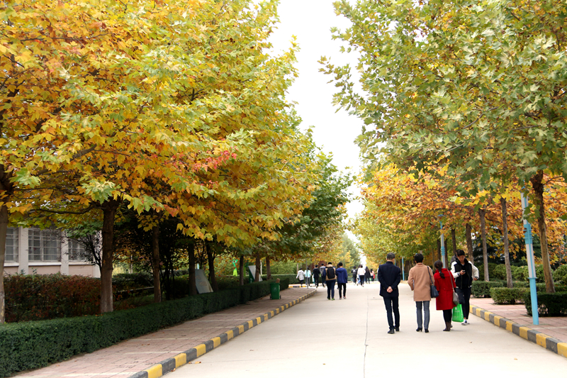 2024年石河子大学在河南录取分数线（附近几年最低位次排名）(图1)