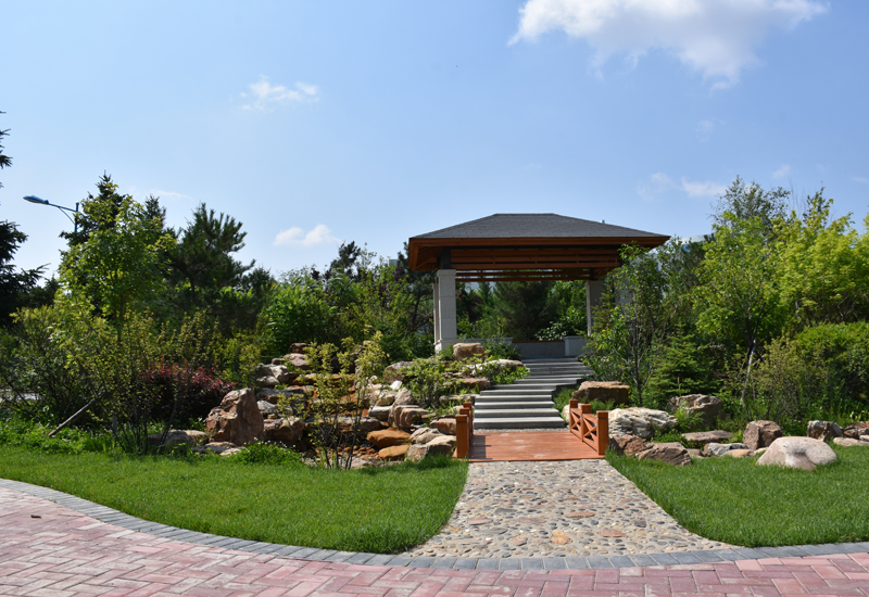 浙江考生必读：商洛学院2025招生计划及历年录取分数线及位次(图2)